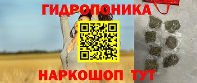 гидра Моздок