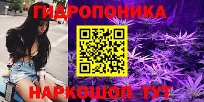 гидра Моздок