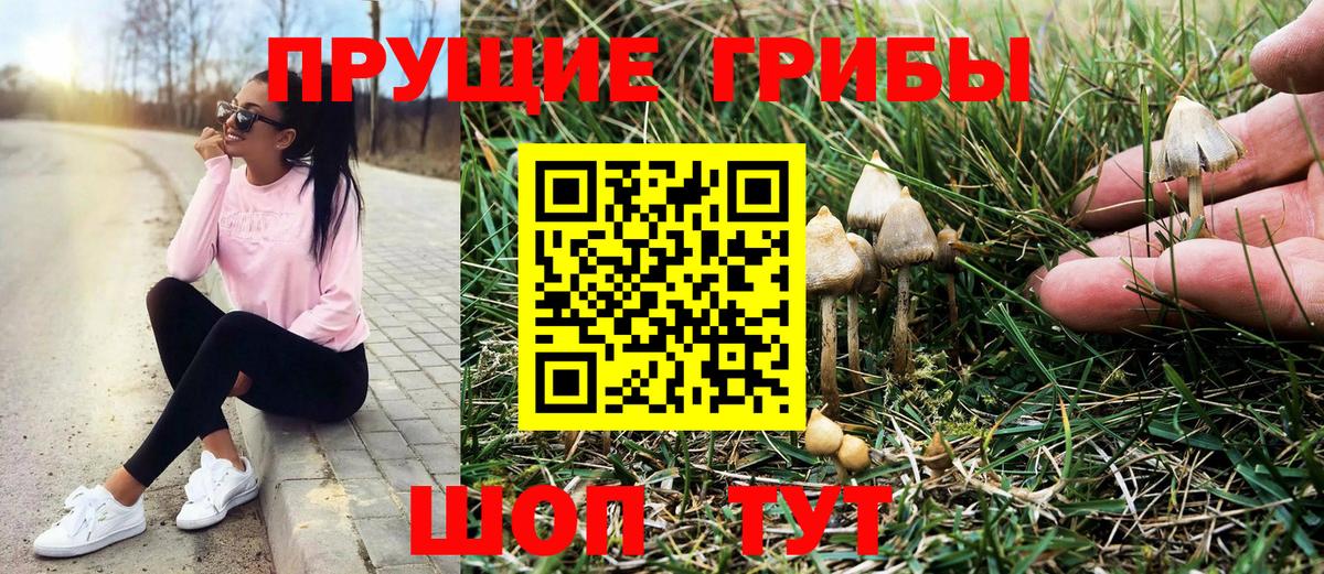 Псилоцибиновые грибы Psilocybine cubensis  Вход с VPN  Верхний Уфалей 